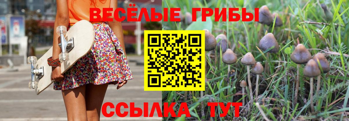 Галлюциногенные грибы мицелий Россия