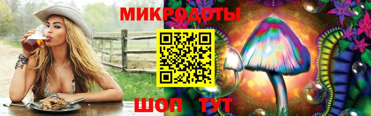 сколько стоит  Галлюциногенные грибы Psilocybe  Вход с VPN  Россия 