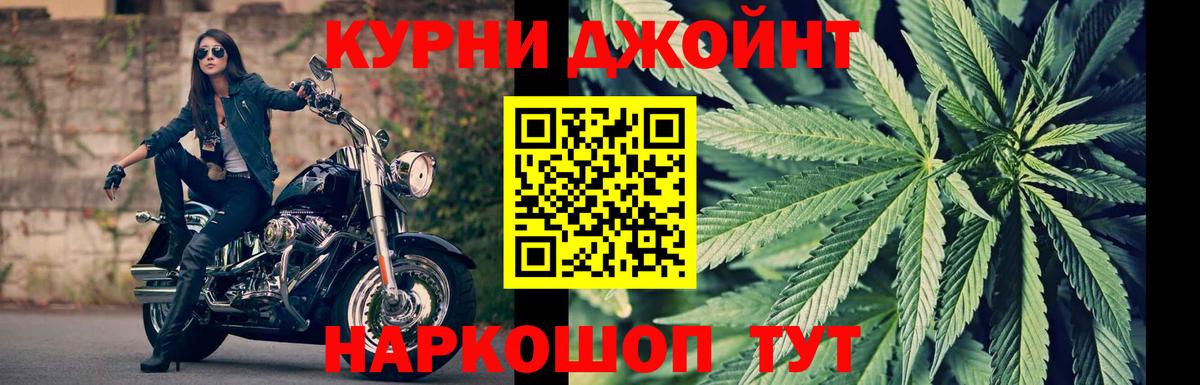 Бошки марихуана семена  Вход с VPN  Каннабис MAZAR  Канабис THC 21%  Россия 